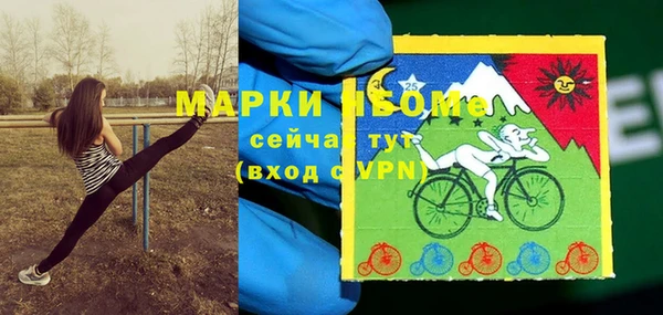 ПСИЛОЦИБИНОВЫЕ ГРИБЫ Нея
