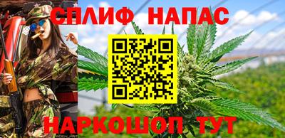 mdpv Заводоуковск