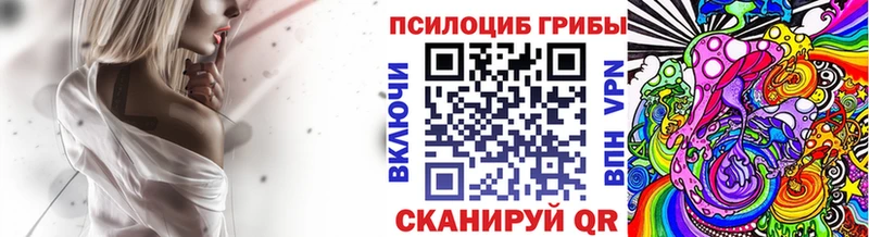 кракен сайт  Новочебоксарск  Псилоцибиновые грибы Cubensis  цена  