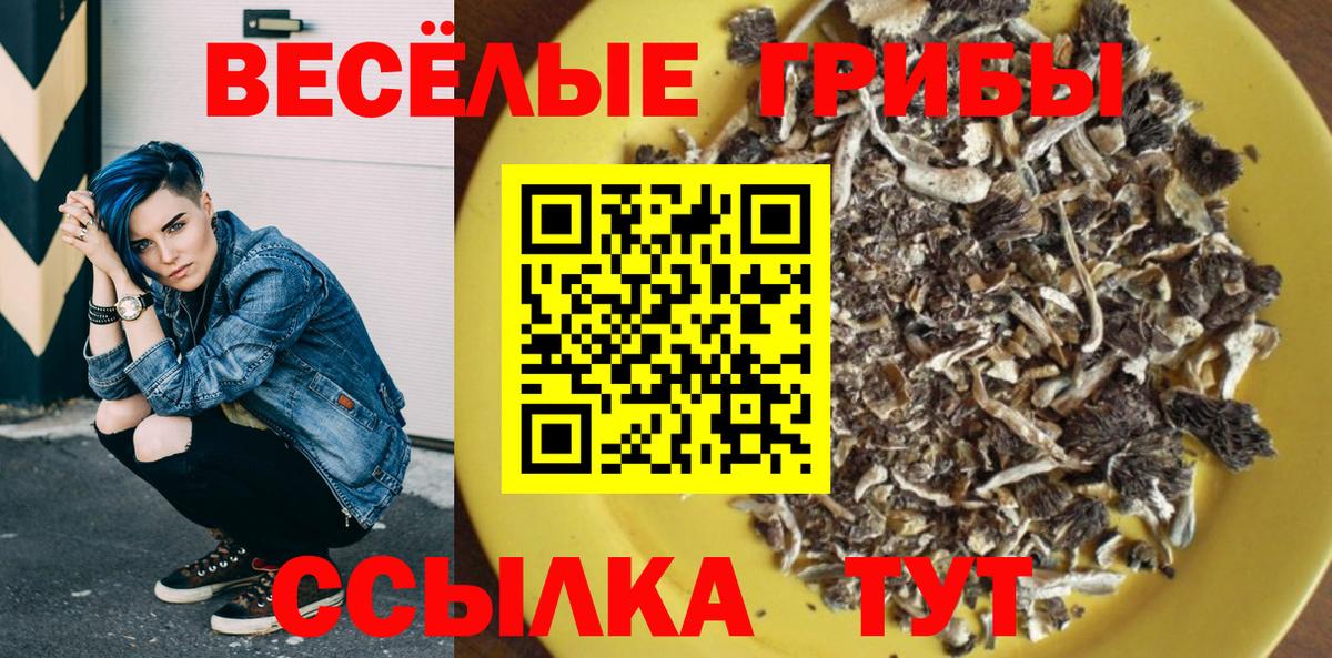 Псилоцибиновые грибы GOLDEN TEACHER  Новочебоксарск 