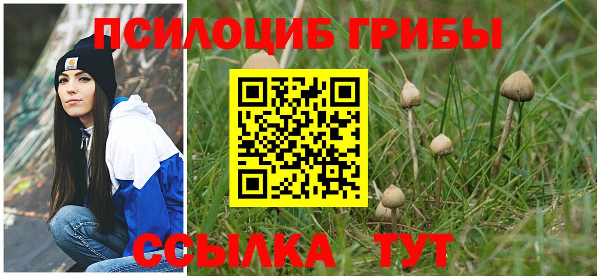 Псилоцибиновые грибы мухоморы  Вход с VPN  Новочебоксарск 